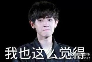 朴灿烈图片表情包,笑出腹肌的治愈系萌宠